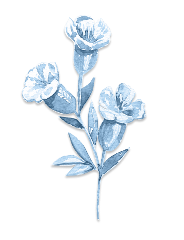 A pale blue illustration of three flower heads on a stem.