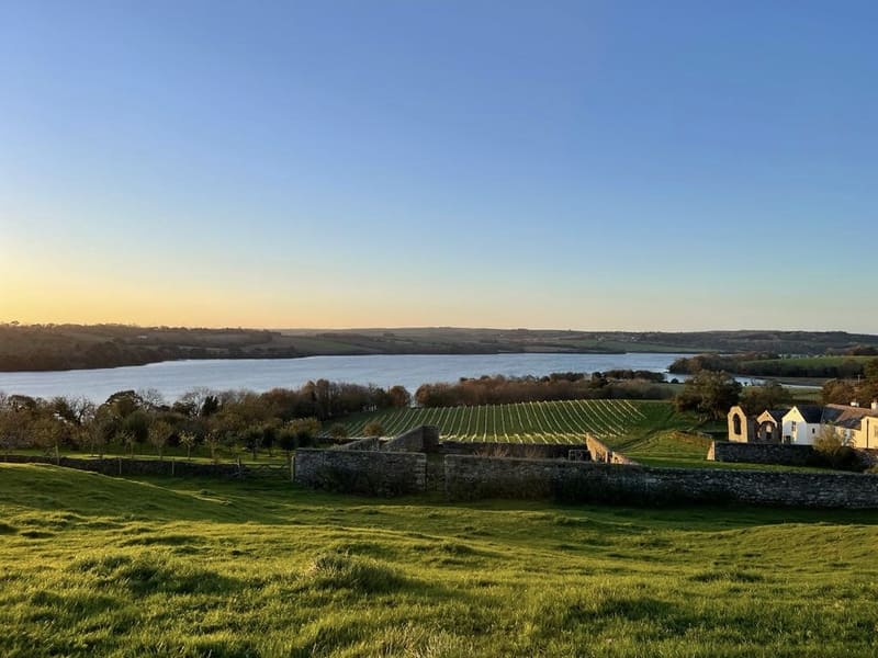 A view of the farm and vineyards from afar with Anthony passage in the background.